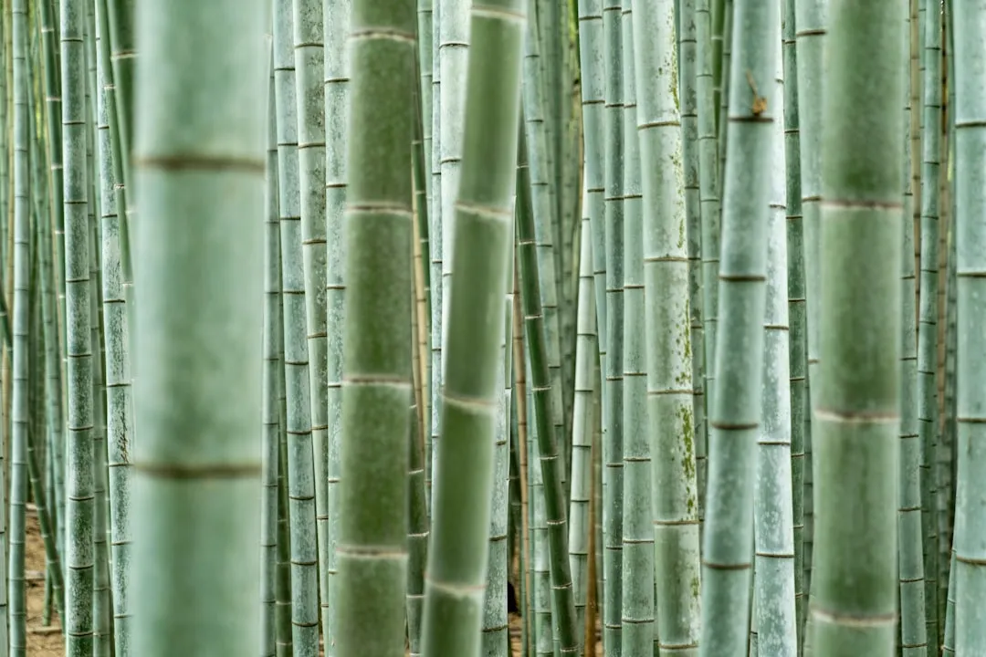 重庆恒凡达建筑机械租赁:塔吊与施工电梯的型号选择与应用分析